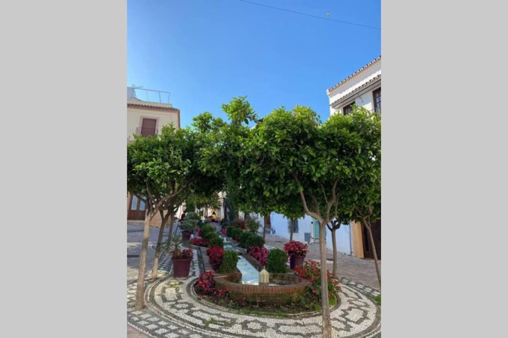 Estepona Seaview Apartment Seletur Ngoại thất bức ảnh